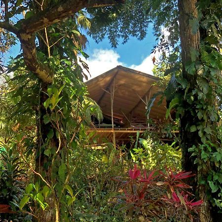 Cascada Verde Hostel Uvita Exterior foto