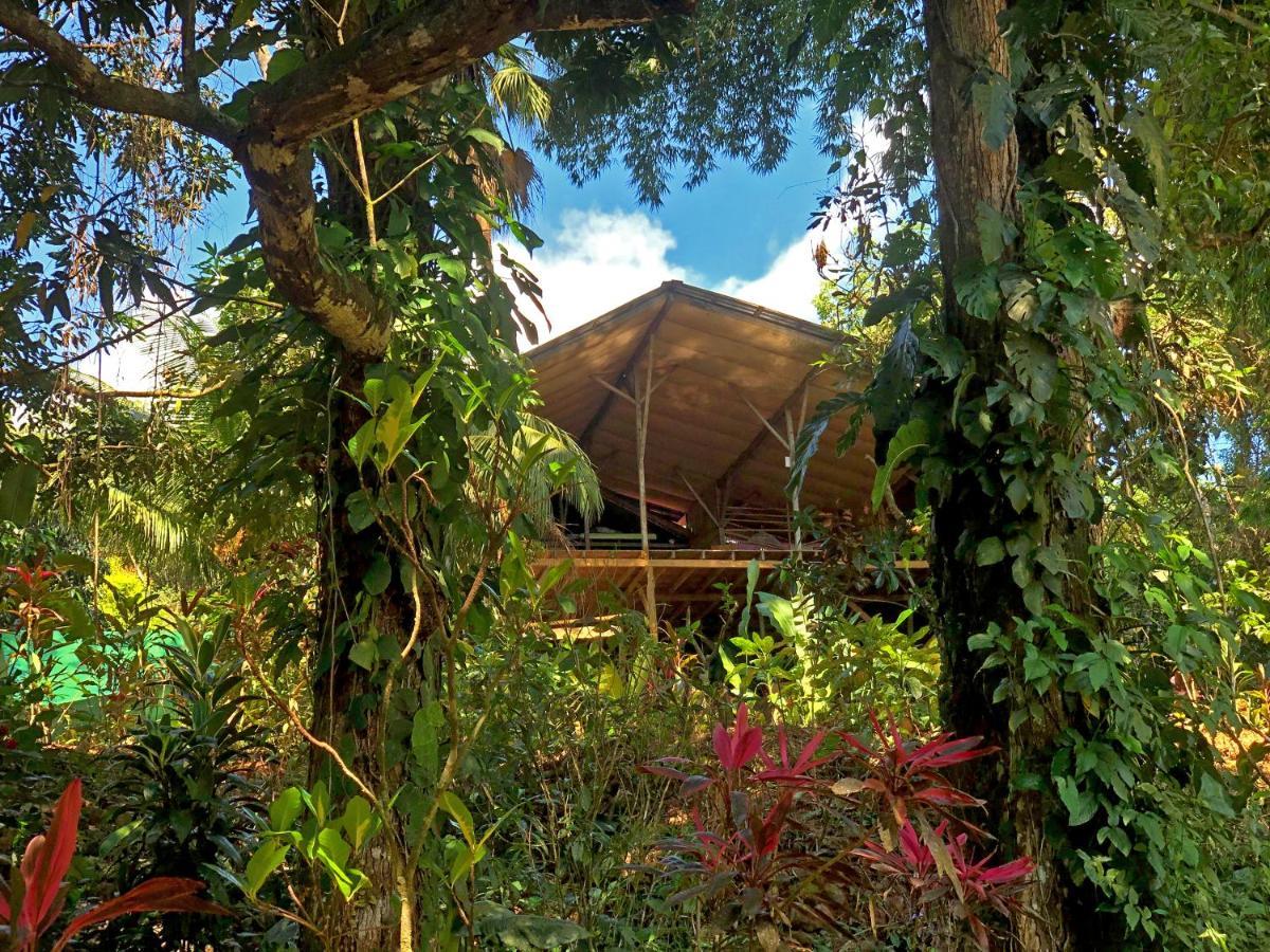 Cascada Verde Hostel Uvita Exterior foto